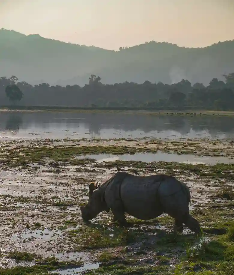Safarwallah Kedarkantha budget Trek