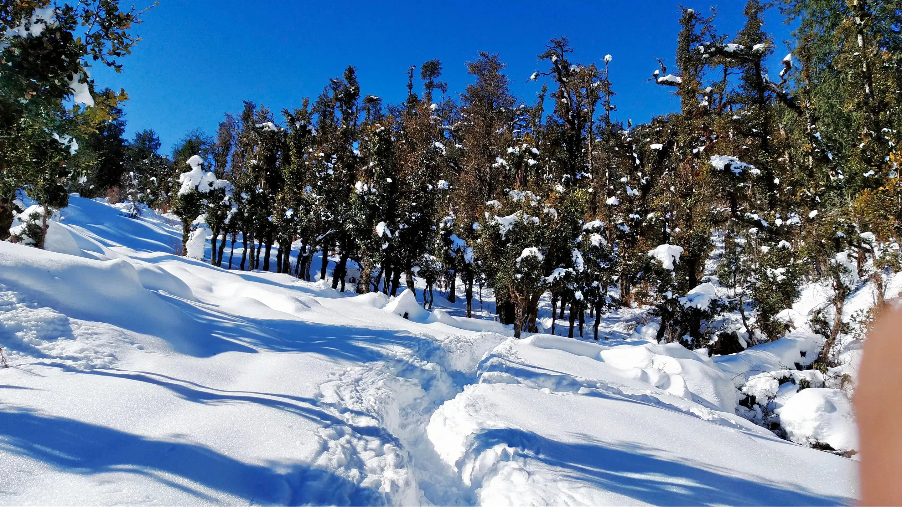 Safarwallah Kuari Pass Trek